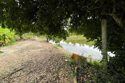 Terrain à Pattaya, Thaïlande 3200 m2 № 135443 - photo 29