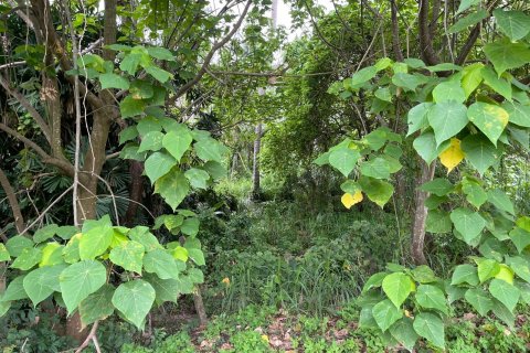 Terrain à Pattaya, Thaïlande 3200 m2 № 135443 - photo 26