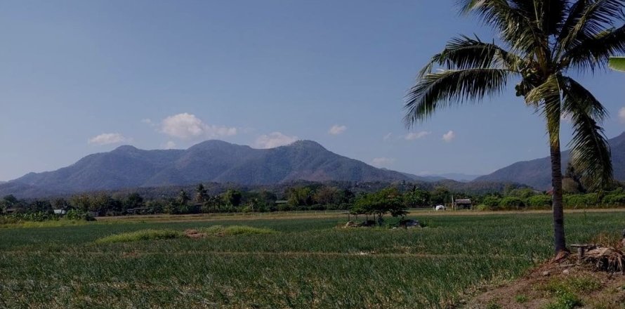 Terrain à Chiang Mai, Thaïlande 38436 m2 № 158498
