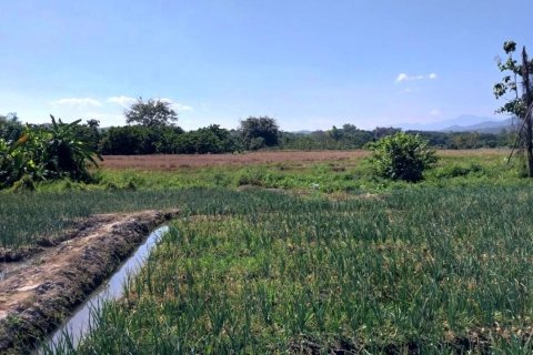 Terrain à Chiang Mai, Thaïlande 38436 m2 № 158498 - photo 3