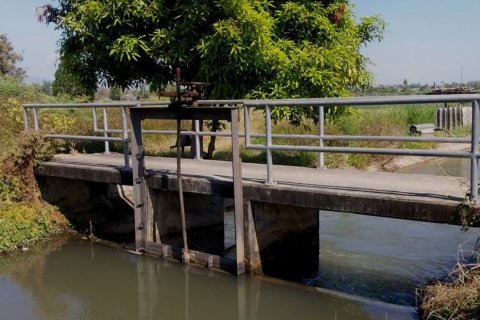 Terrain à Chiang Mai, Thaïlande 38436 m2 № 158498 - photo 7