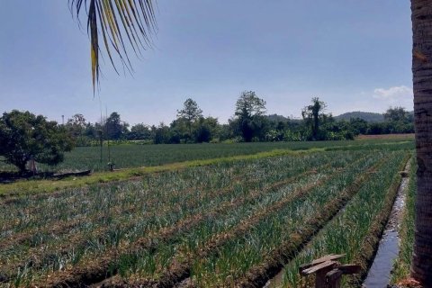 Terrain à Chiang Mai, Thaïlande 38436 m2 № 158498 - photo 9