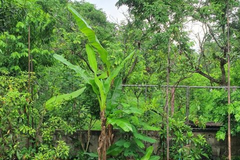 Дом в Чианграе, Таиланд с 3 спальнями № 158504 - фото 14