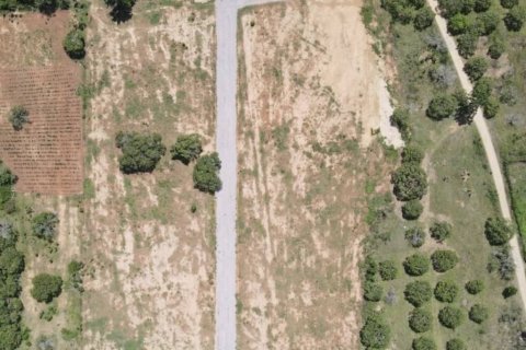 Земельный участок в Сам Рой Йоте, Таиланд  № 144662 - фото 6