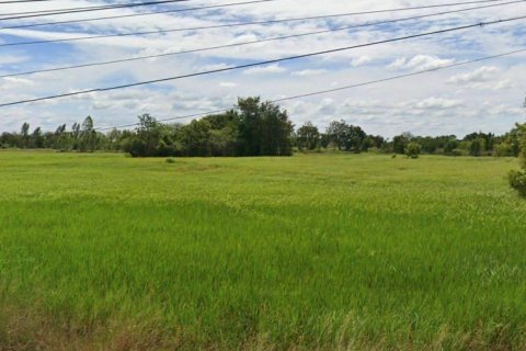 Земельный участок в Накхонратчасиме, Таиланд 19200м2  № 171819 - фото 5