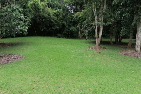 Land in Chiang Rai, Thailand № 172772 - photo 7