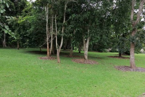 Land in Chiang Rai, Thailand № 172772 - photo 8