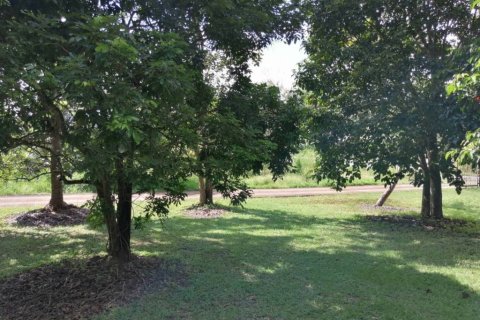 Land in Chiang Rai, Thailand № 172772 - photo 9