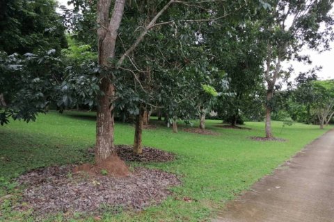 Land in Chiang Rai, Thailand № 172772 - photo 5