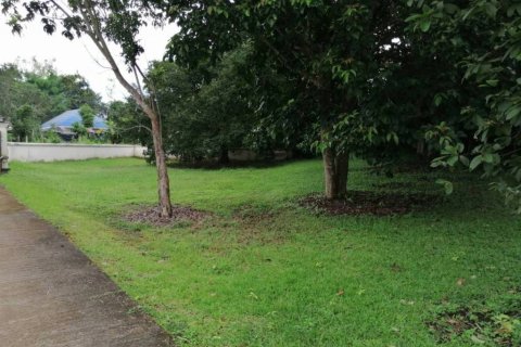 Land in Chiang Rai, Thailand № 172772 - photo 4