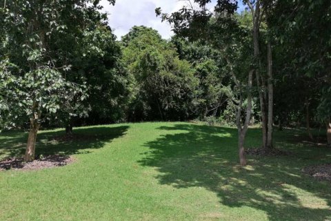 Land in Chiang Rai, Thailand № 172772 - photo 10