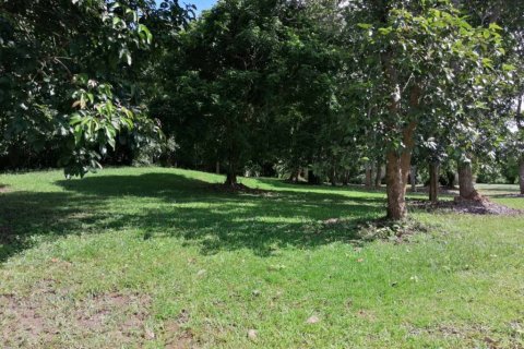 Land in Chiang Rai, Thailand № 172772 - photo 6