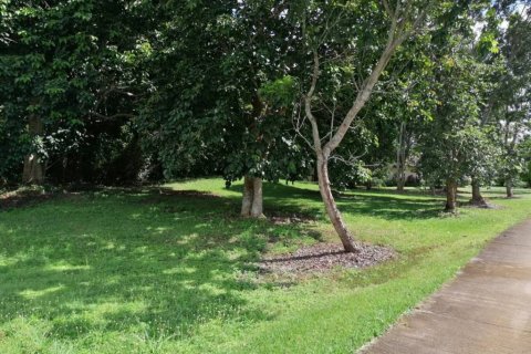 Land in Chiang Rai, Thailand № 172772 - photo 2