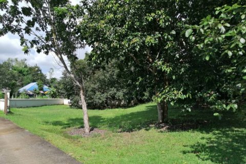 Land in Chiang Rai, Thailand № 172772