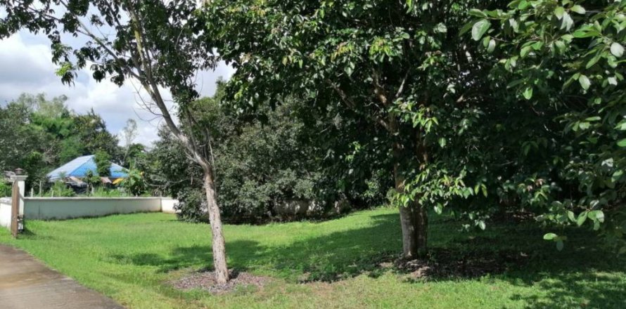 Land in Chiang Rai, Thailand № 172772