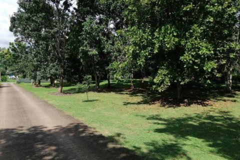 Land in Chiang Rai, Thailand № 172772 - photo 3