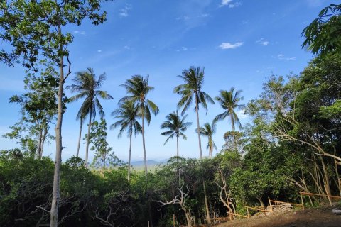 Land in Ko Samui, Thailand 1067 sq.m. № 169047