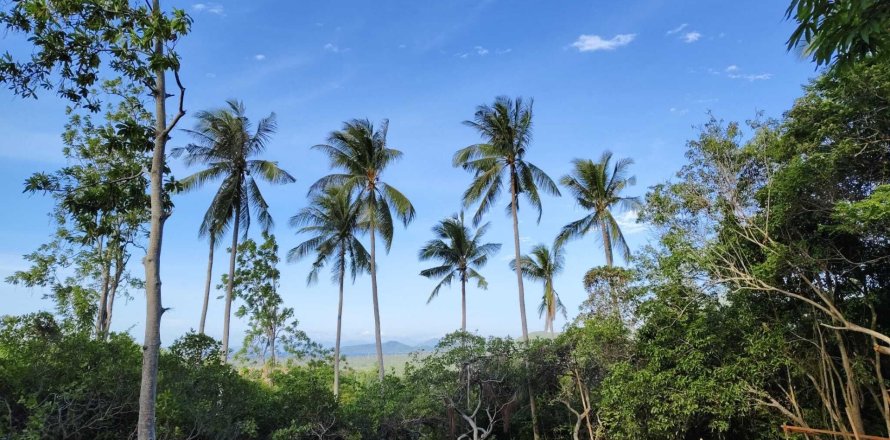 Земельный участок в Самуи, Таиланд 1067м2  № 169047