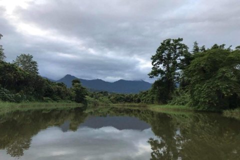 Land in Fang, Thailand 22388 sq.m. № 169041 - photo 13