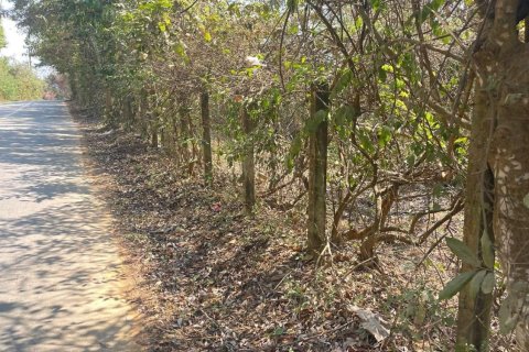 Land in Fang, Thailand 22388 sq.m. № 169041 - photo 7