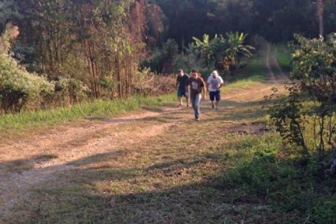 Land in Fang, Thailand 22388 sq.m. № 169041 - photo 8