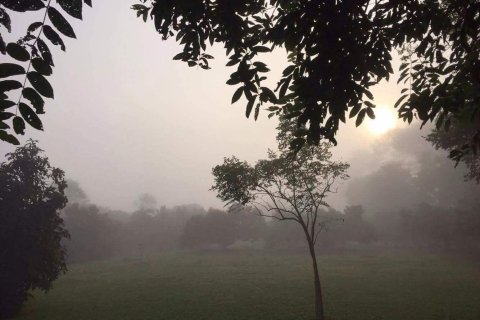 Land in Fang, Thailand 22388 sq.m. № 169041 - photo 3