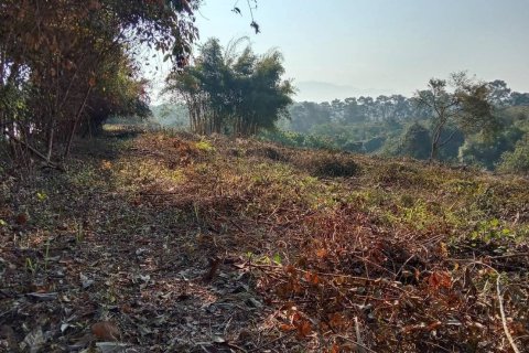 Land in Fang, Thailand 22388 sq.m. № 169041 - photo 16