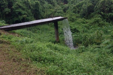 Land in Fang, Thailand 22388 sq.m. № 169041 - photo 4