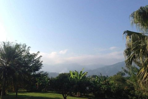 Land in Fang, Thailand 22388 sq.m. № 169041 - photo 5