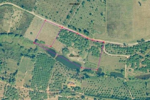 Land in Fang, Thailand 22388 sq.m. № 169041 - photo 2