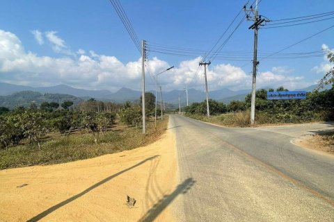 Land in Fang, Thailand 22388 sq.m. № 169041 - photo 18