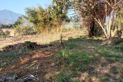 Land in Fang, Thailand 22388 sq.m. № 169041 - photo 17