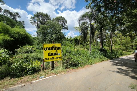 Terrain à Kanchanaburi, Thaïlande 33600 m2 № 167837 - photo 6
