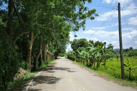 Terrain à Kanchanaburi, Thaïlande 33600 m2 № 167837 - photo 8
