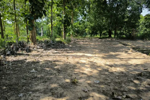 Terrain à Kanchanaburi, Thaïlande 33600 m2 № 167837 - photo 2