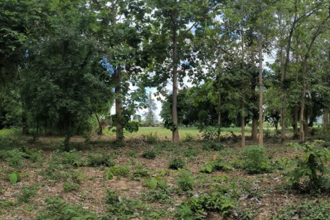 Terrain à Kanchanaburi, Thaïlande 33600 m2 № 167837 - photo 4