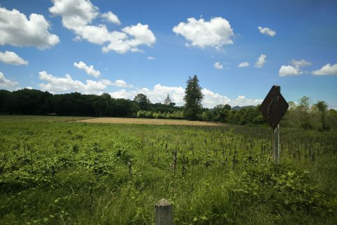 Terrain à Kanchanaburi, Thaïlande 33600 m2 № 167837 - photo 7