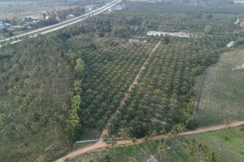 Земельный участок в Паттайе, Таиланд  № 172756 - фото 2