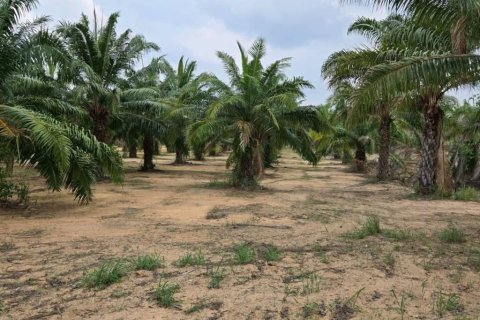 Земельный участок в Паттайе, Таиланд  № 172756 - фото 3
