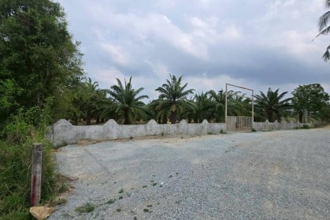 Земельный участок в Паттайе, Таиланд  № 172756 - фото 8