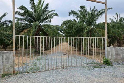 Земельный участок в Паттайе, Таиланд  № 172756 - фото 5