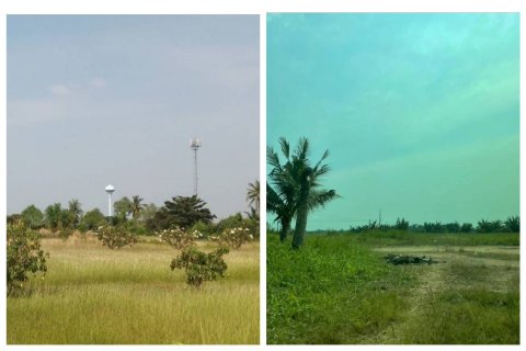 Terrain à Samut Sakhon, Thaïlande 42136 m2 № 161733 - photo 7
