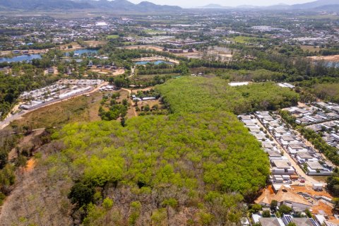 Terrain à Phuket, Thaïlande 64000 m2 № 164360 - photo 14