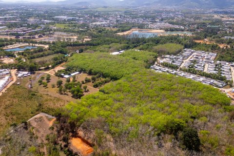 Terrain à Phuket, Thaïlande 64000 m2 № 164360 - photo 18