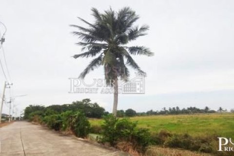 Land in Krathum Baen, Thailand 22400 sq.m. № 164355 - photo 5