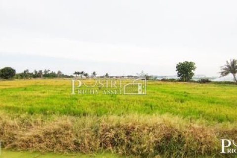 Land in Krathum Baen, Thailand 22400 sq.m. № 164355 - photo 4