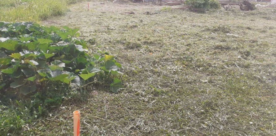 Land in Phuket, Thailand 200 sq.m. № 151285