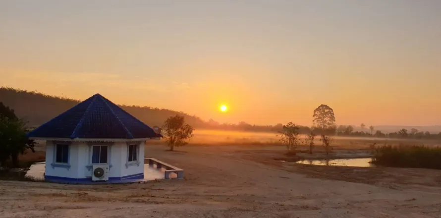 Land in Pattaya, Thailand 88076 sq.m. № 156245