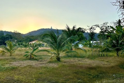 Земельный участок в Пхукете, Таиланд 4800м2  № 158043