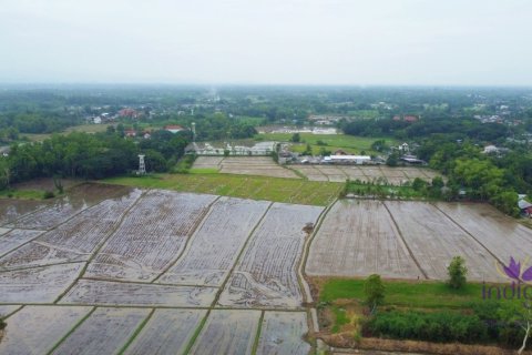 ที่ดินในเชียงใหม่, ประเทศไทย № 202221 - รูปถ่าย 8